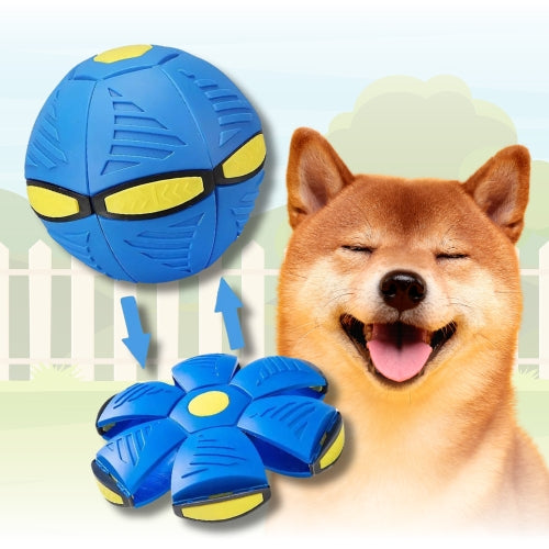 WoofFly: Pelota Versátil para Perros Activos